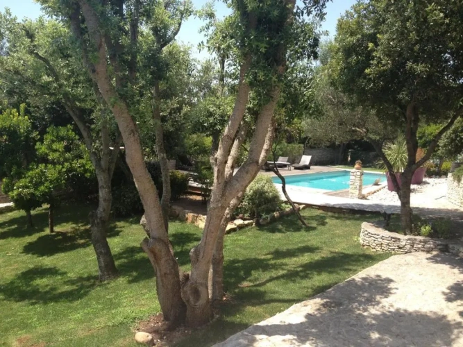 Standard Double room with pool view