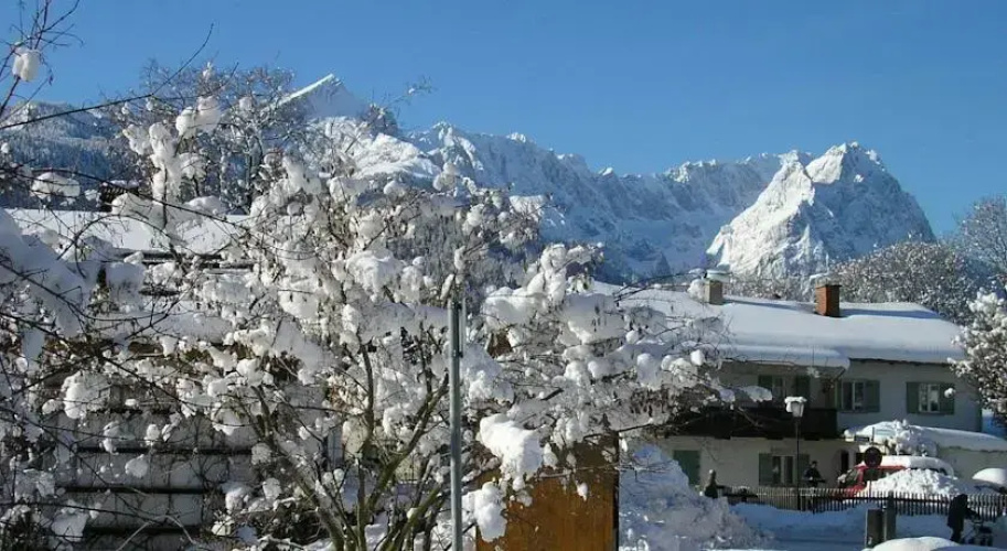 Alpin