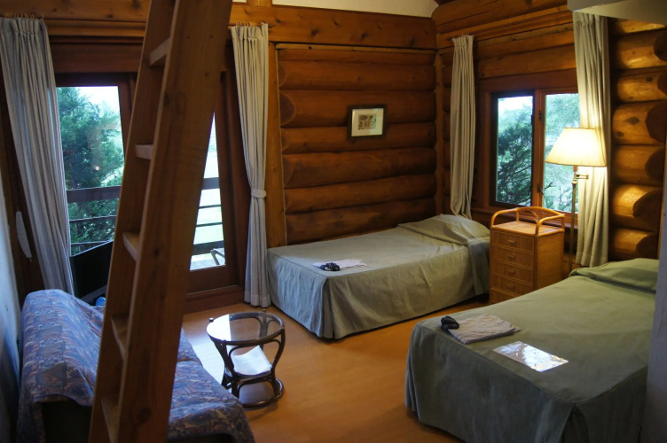 Hakuba Log Hotel Meteor