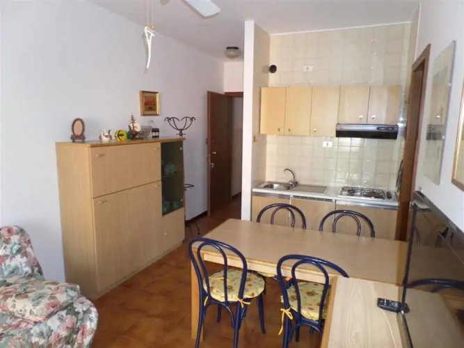 1 Bedroom Apartment with balcony and with city view