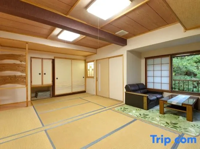 Standard room with river view