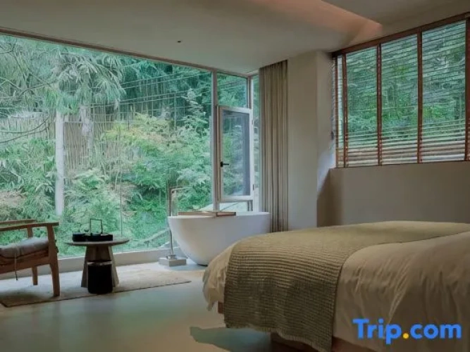 Deluxe Double room with view