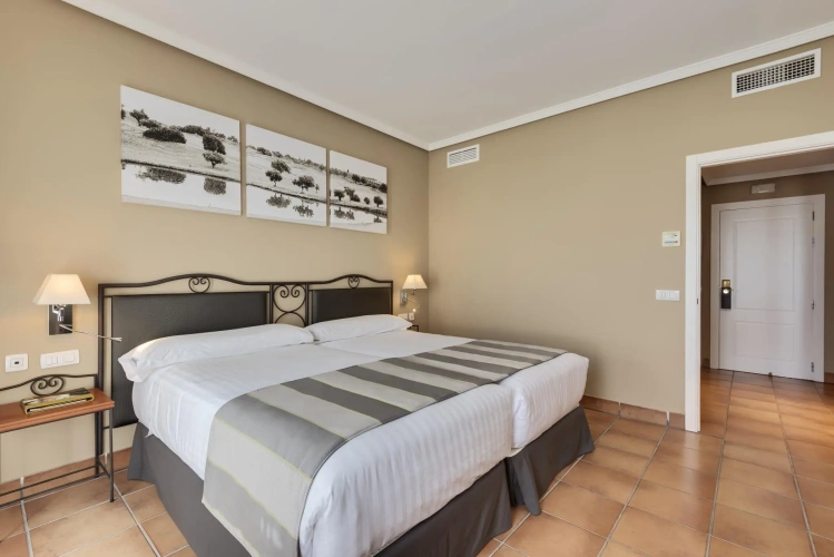 Superior Double room with view