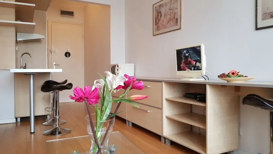 Sava Mala Apartment