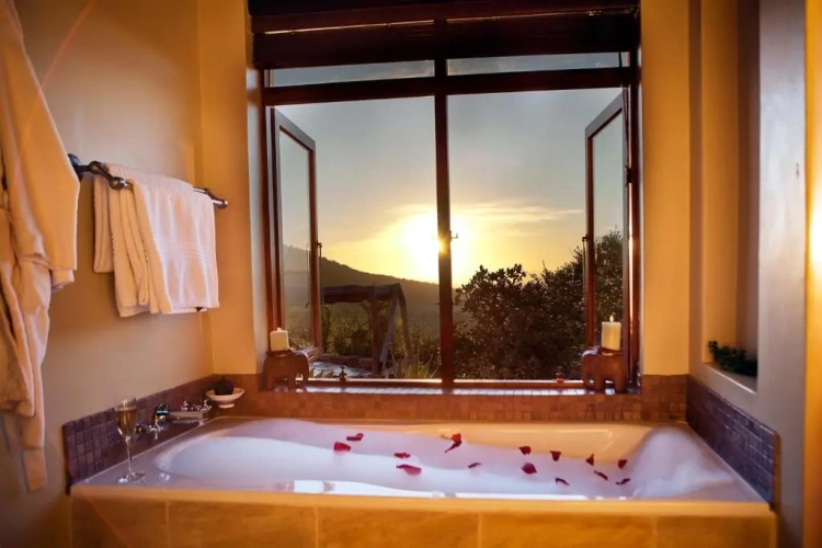 Deluxe Chalet with balcony and with view