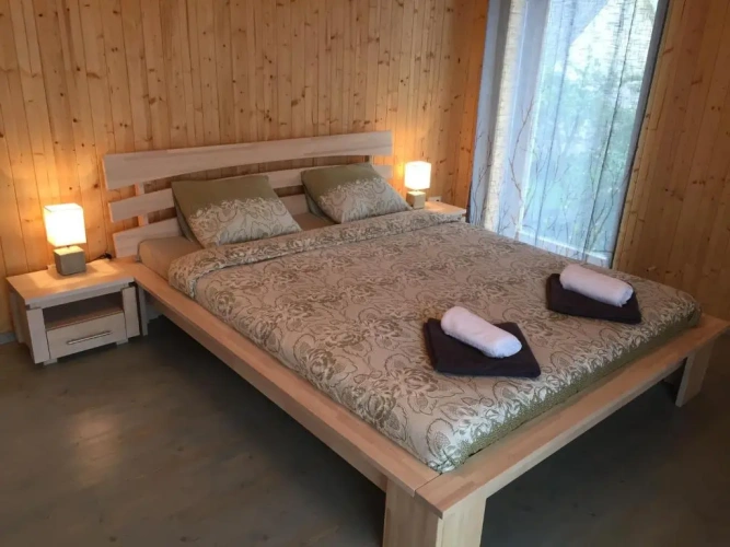Standard Double room with balcony and with sea view
