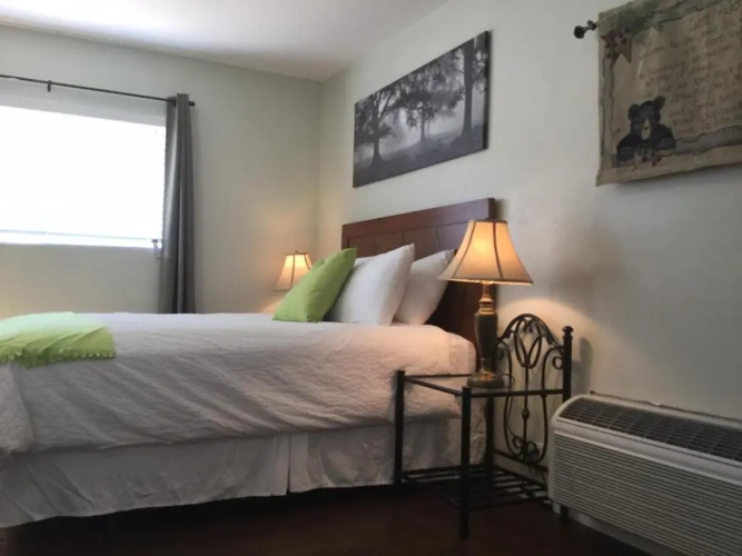 1 Bedroom Suite
