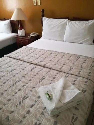 Hotel Dinastia Colima