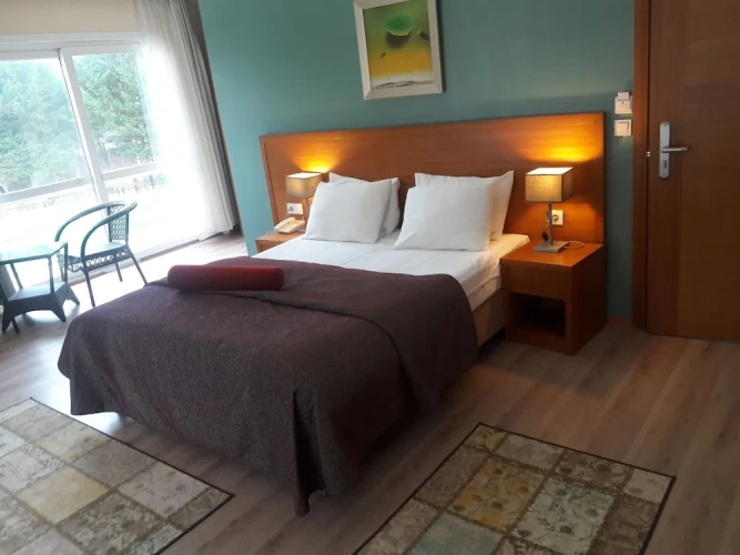 Standard Double room with balcony and with garden view