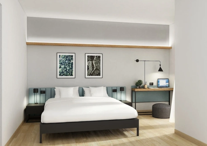 1 Bedroom Superior Double room