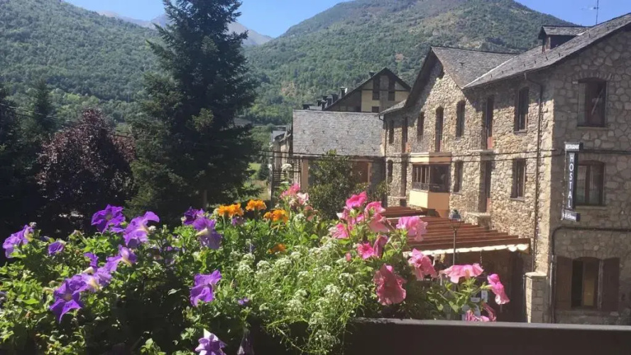 Hotel Vall d'Aneu