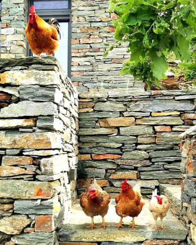 Agrikea Farm Stay Kea