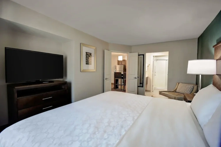 1 Bedroom Suite