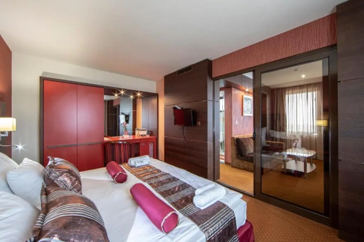 Deluxe Apartment with view