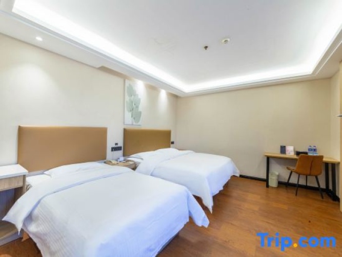 Superior Single Suite
