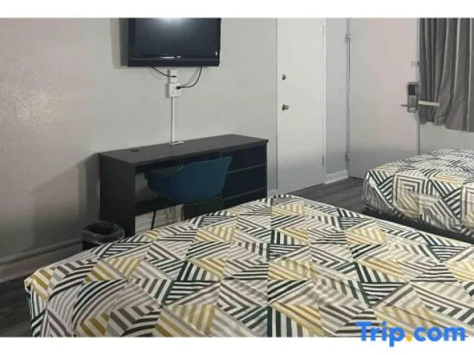 Quadruple Suite