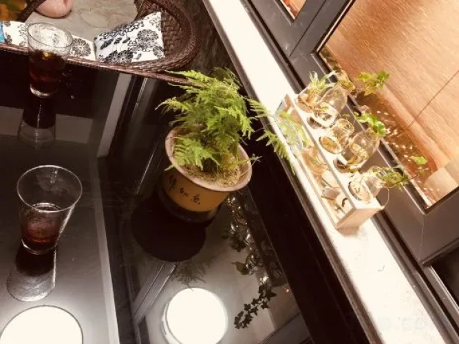 Meal