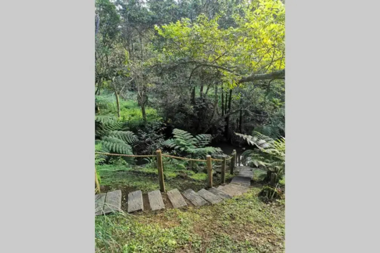 Nature Lovers Paradise