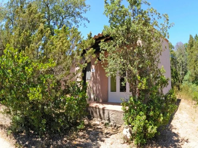 Standard Bungalow