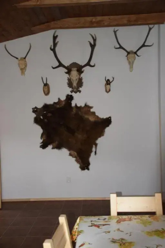 Apartmány Hájenka