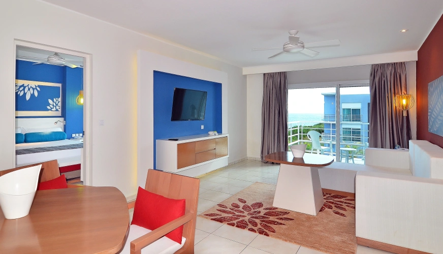 1 Bedroom Suite
