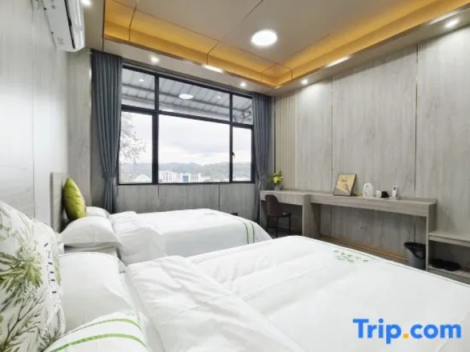 Standard Double room with lake view