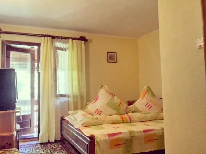 Standard Double room with balcony and with view