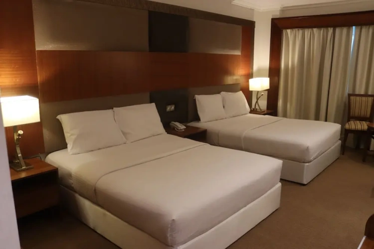Deluxe Twin room with city view