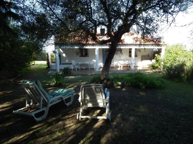 Cottage