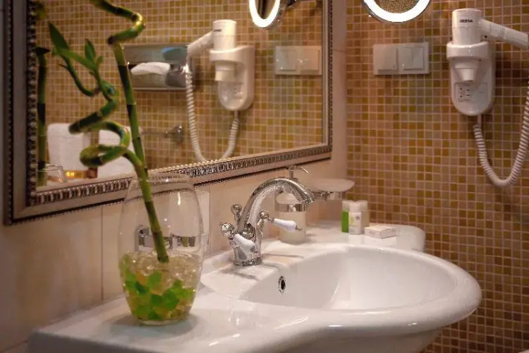 Фотография номера гостиницы Savoy 