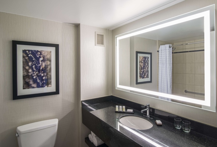 Embassy Suites by Hilton Chicago Downtown Magnificent Mile photo 9