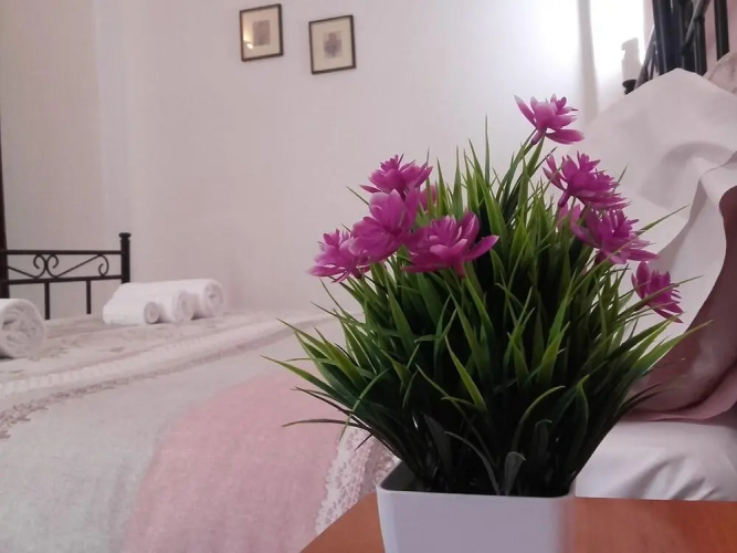 Bed and breakfast Le Pavoncelle