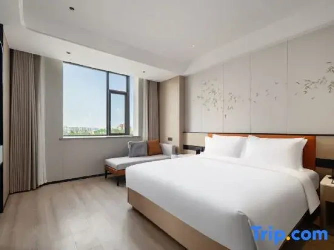 Comfort Suite