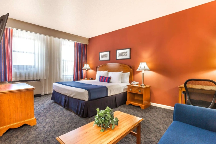 Double Suite