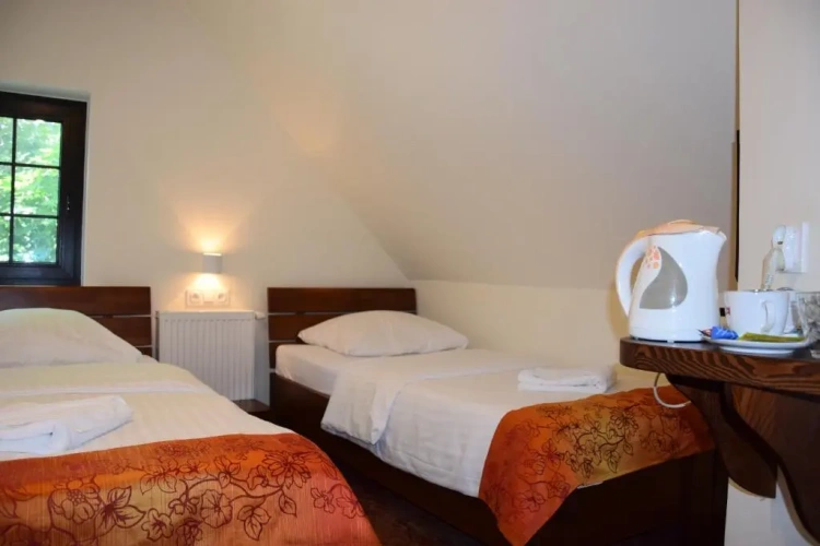 Economy Twin room
