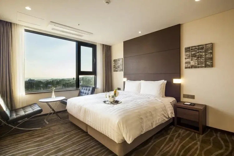 Luxury Suite
