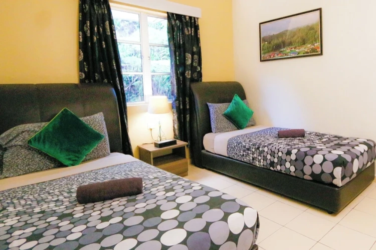 Economy Twin room