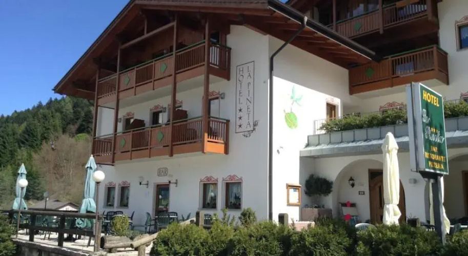 Hotel Pineta