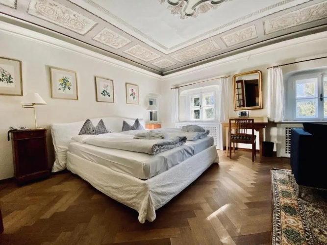 Standard Double room with garden view