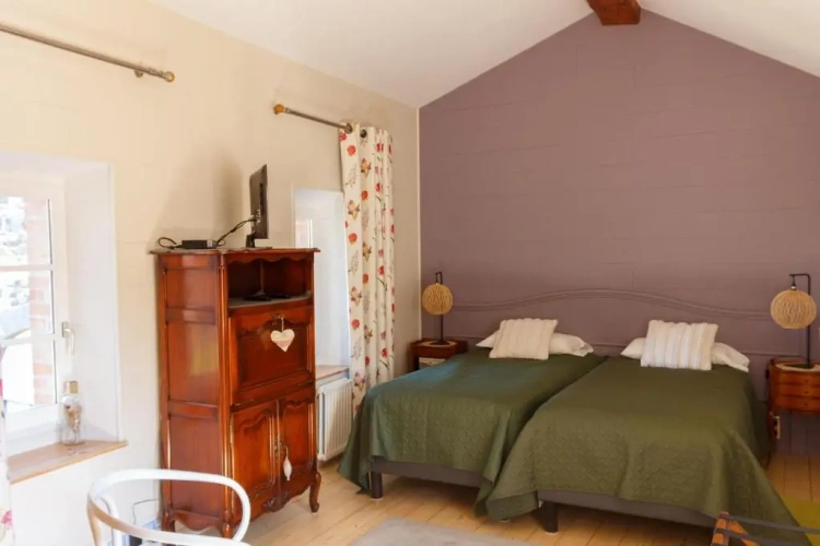 Superior Twin room with garden view