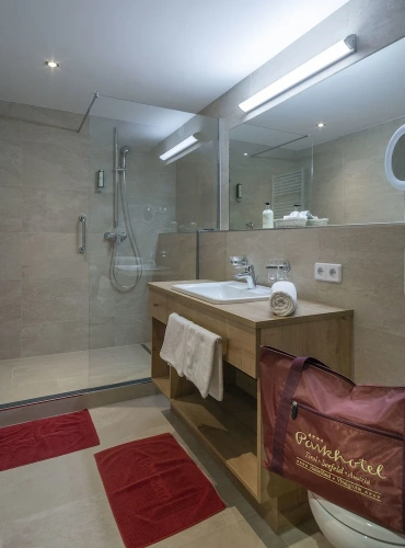 Standard Double room with balcony and with mountain view