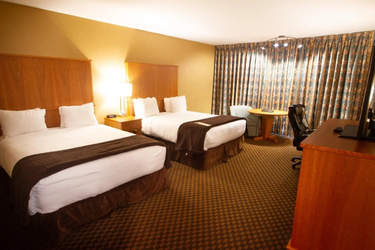 Executive Quadruple room