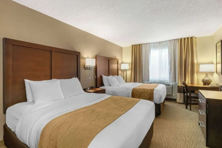 Standard Quadruple room