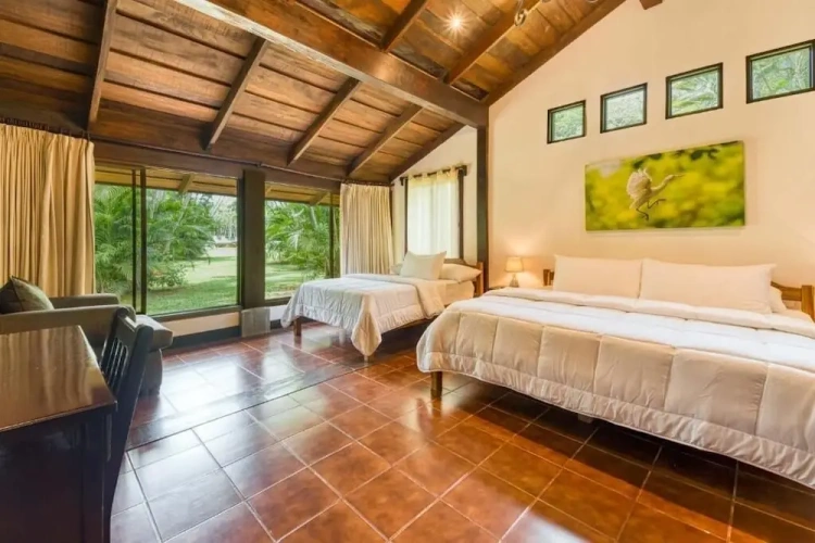 Quadruple Suite