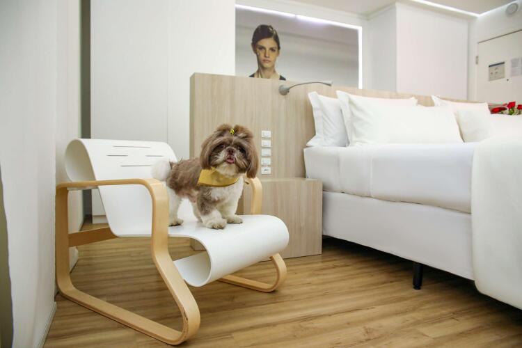 Best Western Plus Richmond Hill InnOver view