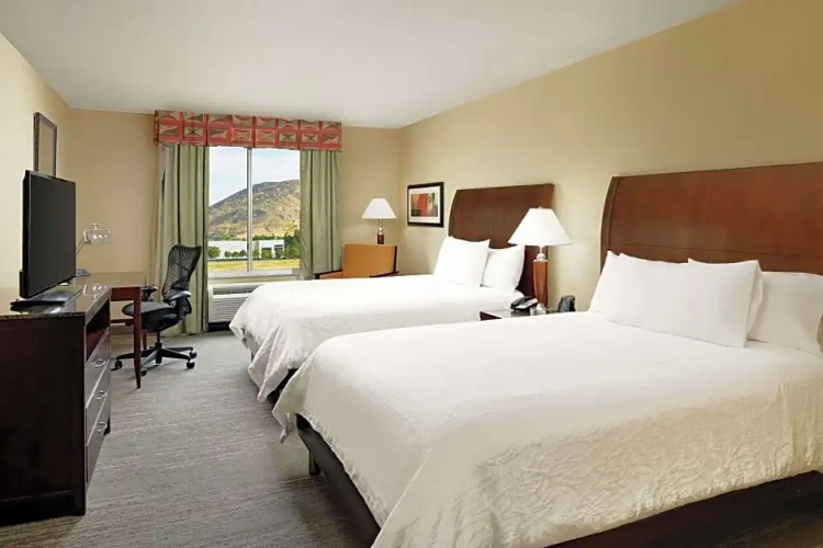 1 Bedroom Deluxe Double Suite