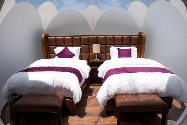 Twin Suite