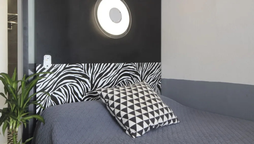 Sunrise Studio Zebra