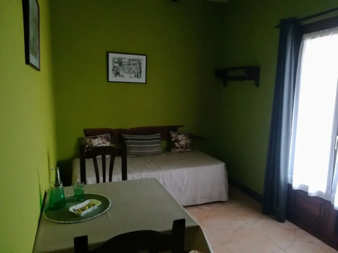 Standard Double room with balcony and with garden view