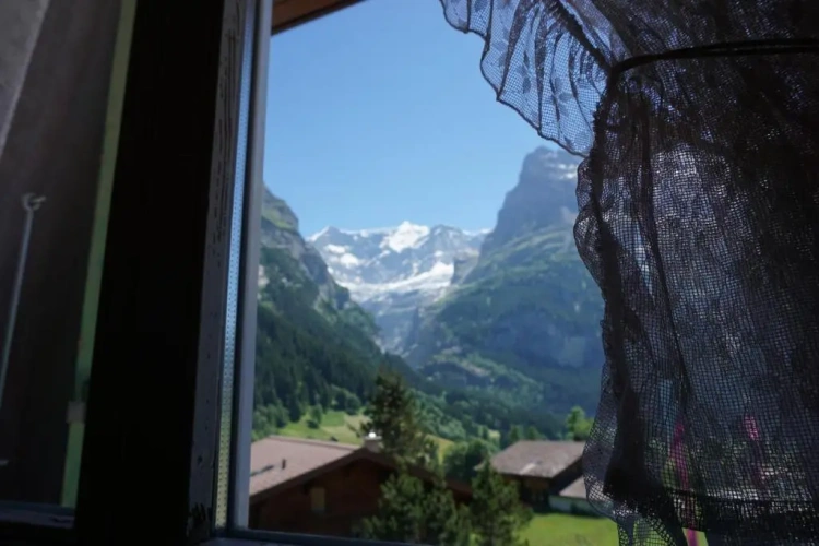 Standard Double room with view